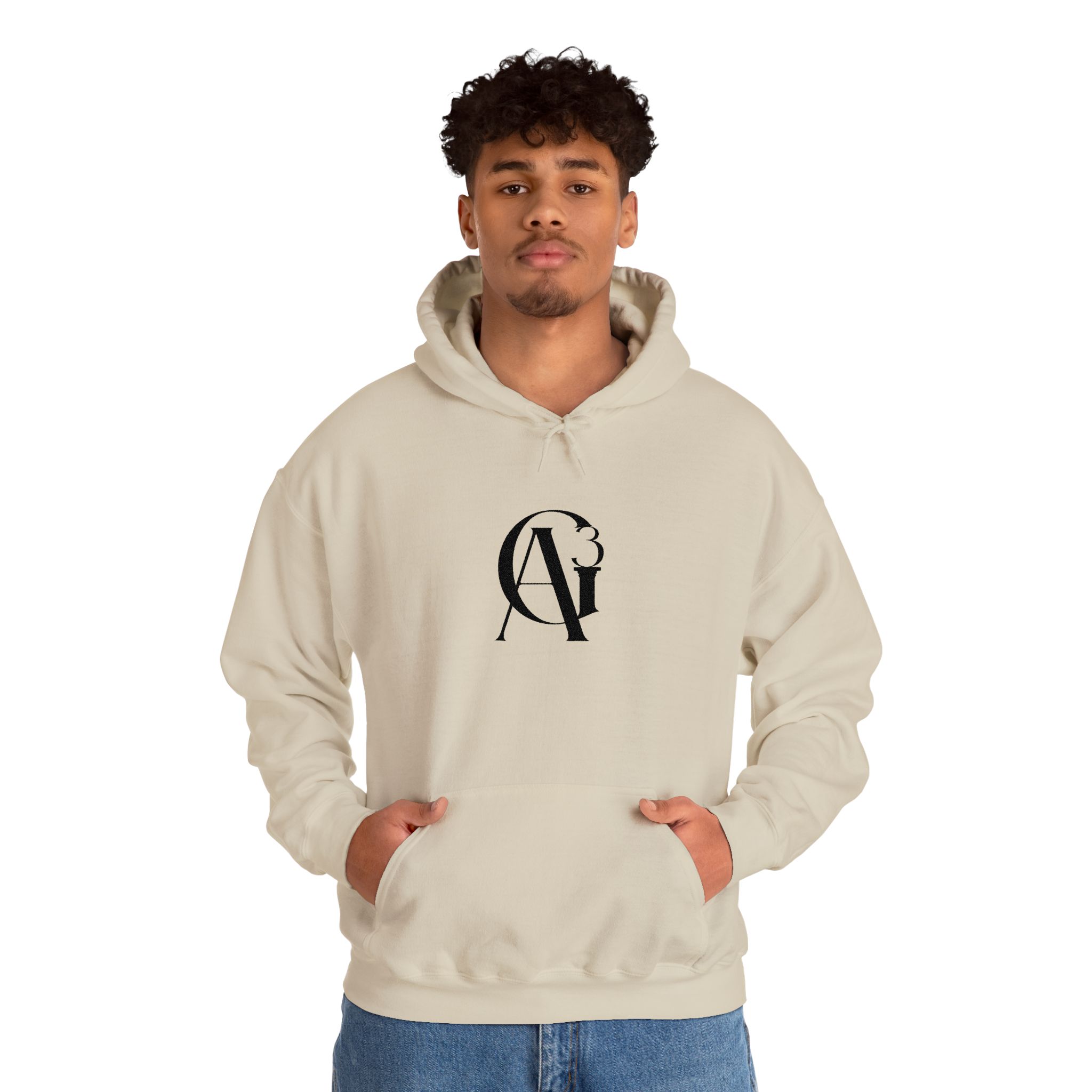 embroidered ag3 classic logo unisex hoodie embroidered ag3 classic logo unisex hoodie