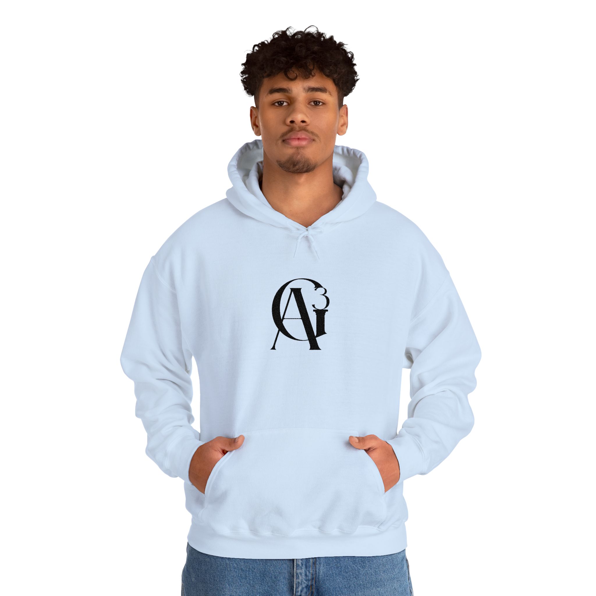 embroidered ag3 classic logo unisex hoodie embroidered ag3 classic logo unisex hoodie