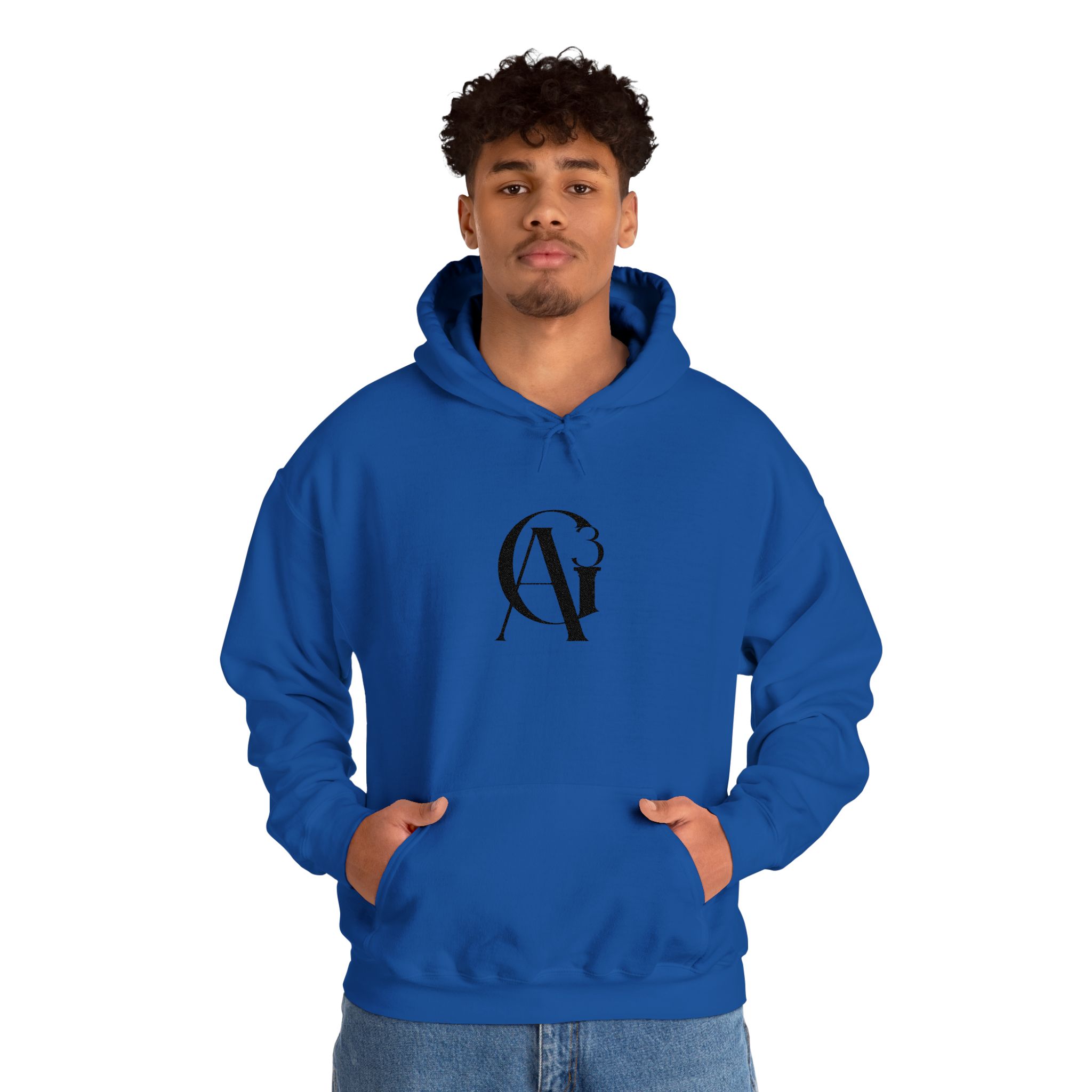 embroidered ag3 classic logo unisex hoodie embroidered ag3 classic logo unisex hoodie